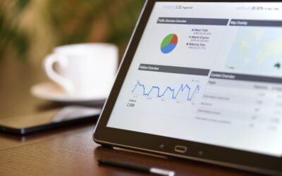 How to Choose the Best White Label Reseller Program for SEO